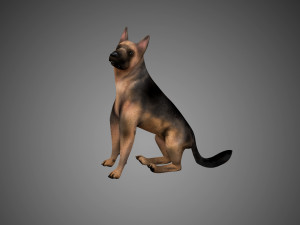 german shepherd rigged low poly 3D Model