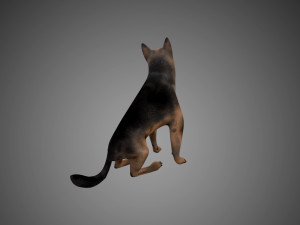 german shepherd rigged low poly 3D Model