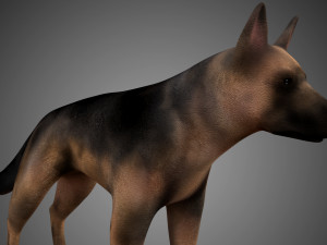 german shepherd rigged low poly 3D Model