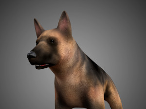 german shepherd rigged low poly 3D Model