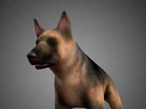 german shepherd rigged low poly 3D Model