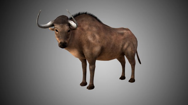 low poly rigged buffalo-bull 3D 模型 .c4d .max .obj .3ds .fbx .stl .blend 