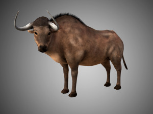 low poly rigged buffalo-bull 3D Model
