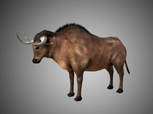 low poly rigged buffalo-bull 3D 模型