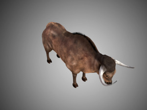 low poly rigged buffalo-bull 3D 模型