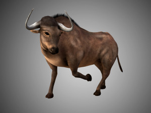 low poly rigged buffalo-bull 3D 模型