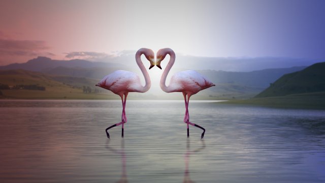 realistic low poly rigged flamingo Modelo 3D .c4d .max .obj .3ds .fbx .stl .blend 
