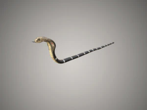 realistic snake and king cobra rigged low poly 3D Model
