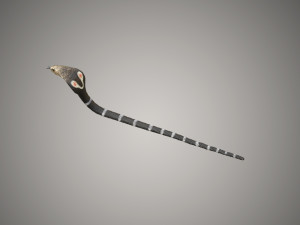 realistic snake and king cobra rigged low poly 3Dモデル