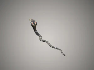 realistic snake and king cobra rigged low poly 3D Model