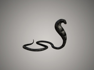 realistic snake and king cobra rigged low poly 3Dモデル