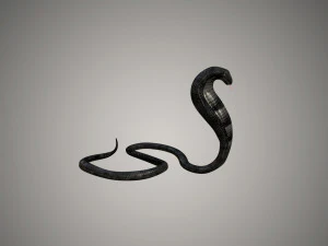 realistic snake and king cobra rigged low poly 3D Model