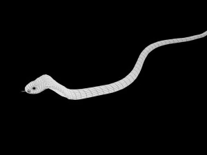 realistic snake and king cobra rigged low poly 3D Model