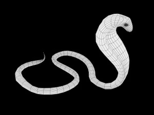 realistic snake and king cobra rigged low poly 3D Model