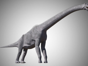 brachiosaurus low poly rigged 3D Model