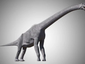 brachiosaurus low poly rigged 3D Model