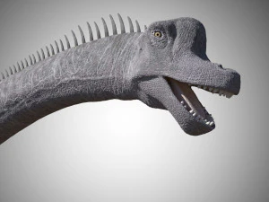 brachiosaurus low poly rigged 3D Model