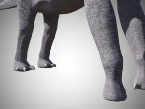 brachiosaurus low poly rigged 3D Model