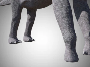 brachiosaurus low poly rigged 3D Model