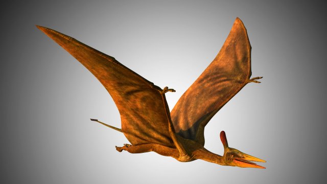 pterasaur rigged low poly Modèle 3D .c4d .max .obj .3ds .fbx .stl .blend 