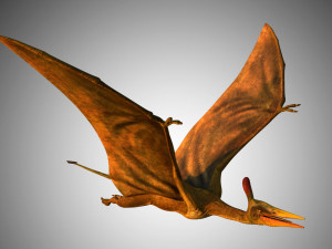 pterasaur rigged low poly Modelo 3D