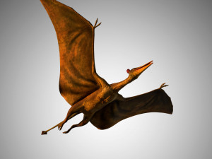 pterasaur rigged low poly Modèle 3D