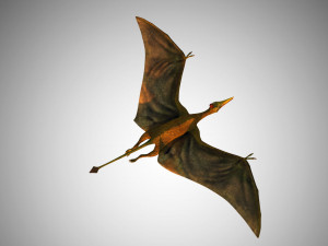 pterasaur rigged low poly Modèle 3D
