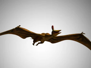 pterasaur rigged low poly 3D Model