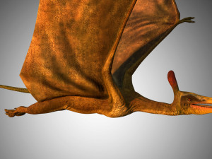 pterasaur rigged low poly Modèle 3D