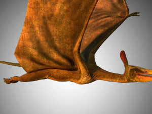 pterasaur rigged low poly 3D Model
