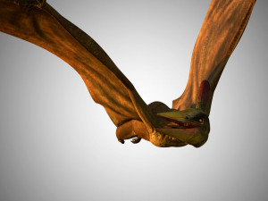 pterasaur rigged low poly Modèle 3D