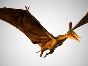 pterasaur rigged low poly Modèle 3D
