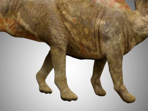 parasaurolophus rigged low poly 3D Model