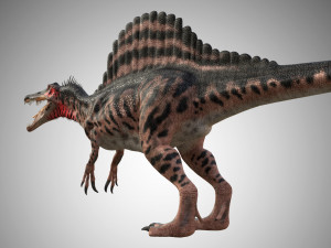 spinosaurus low poly rigged 3D Model