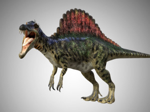 spinosaurus low poly rigged 3D Model