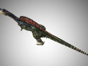 spinosaurus low poly rigged 3D Model