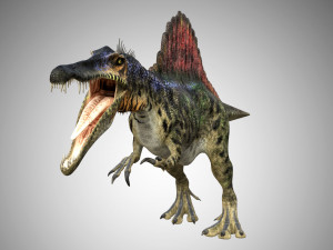 spinosaurus low poly rigged 3D Model