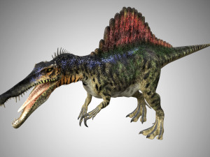 spinosaurus low poly rigged 3D Model