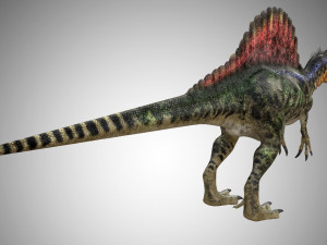 spinosaurus low poly rigged 3D Model