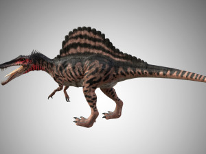 spinosaurus low poly rigged 3D Model