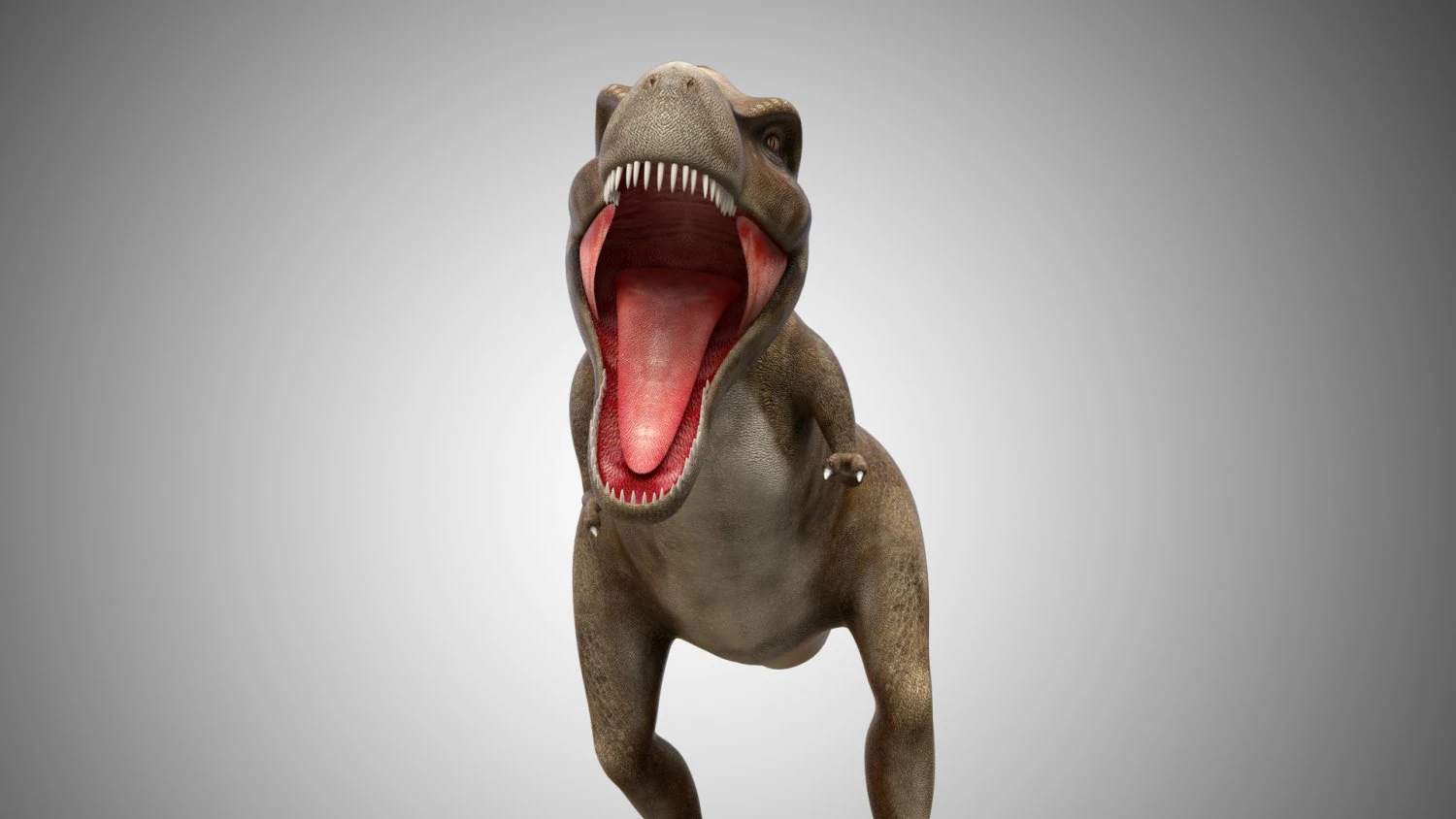 giganotosaurus dinosaur low poly game ready rigged 3D Model .c4d .max .obj .3ds .fbx .stl .blend