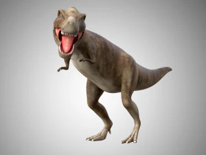 giganotosaurus dinosaur low poly game ready rigged 3D Model