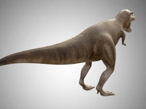 giganotosaurus dinosaur low poly game ready rigged 3D Model