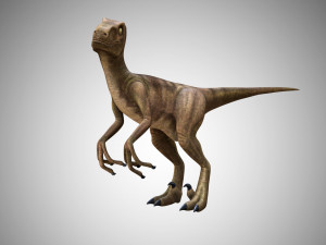 raptor velociraptor low poly rigged game ready prehistory Modelo 3D