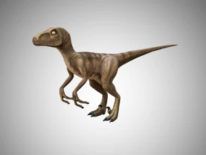 raptor velociraptor low poly rigged game ready prehistory 3D Model