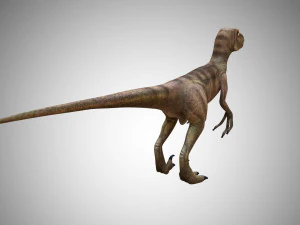 raptor velociraptor low poly rigged game ready prehistory 3D Model