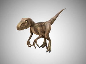 raptor velociraptor low poly rigged game ready prehistory 3Dモデル