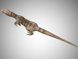 raptor velociraptor low poly rigged game ready prehistory 3Dモデル