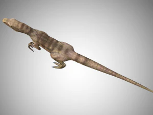 raptor velociraptor low poly rigged game ready prehistory 3D Model