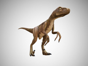 raptor velociraptor low poly rigged game ready prehistory 3Dモデル